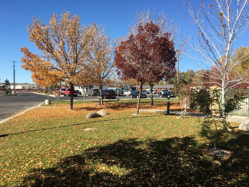 Holiday Inn Express Fallon By Ihg Exterior photo